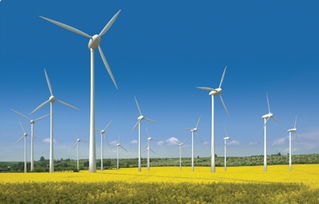 世貿通引領綠色能源新篇章 美國內華達州太陽能發(fā)電項目正式發(fā)布